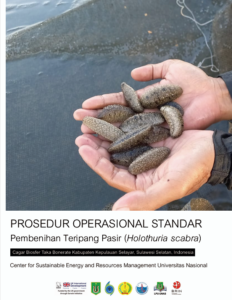 PROSEDUR OPERASIONAL STANDAR Pembenihan Teripang Pasir (Holothuria scabra)